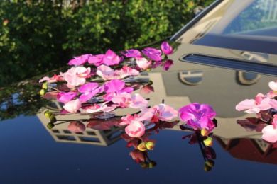 Веточки орхидей - аренда украшений на авто